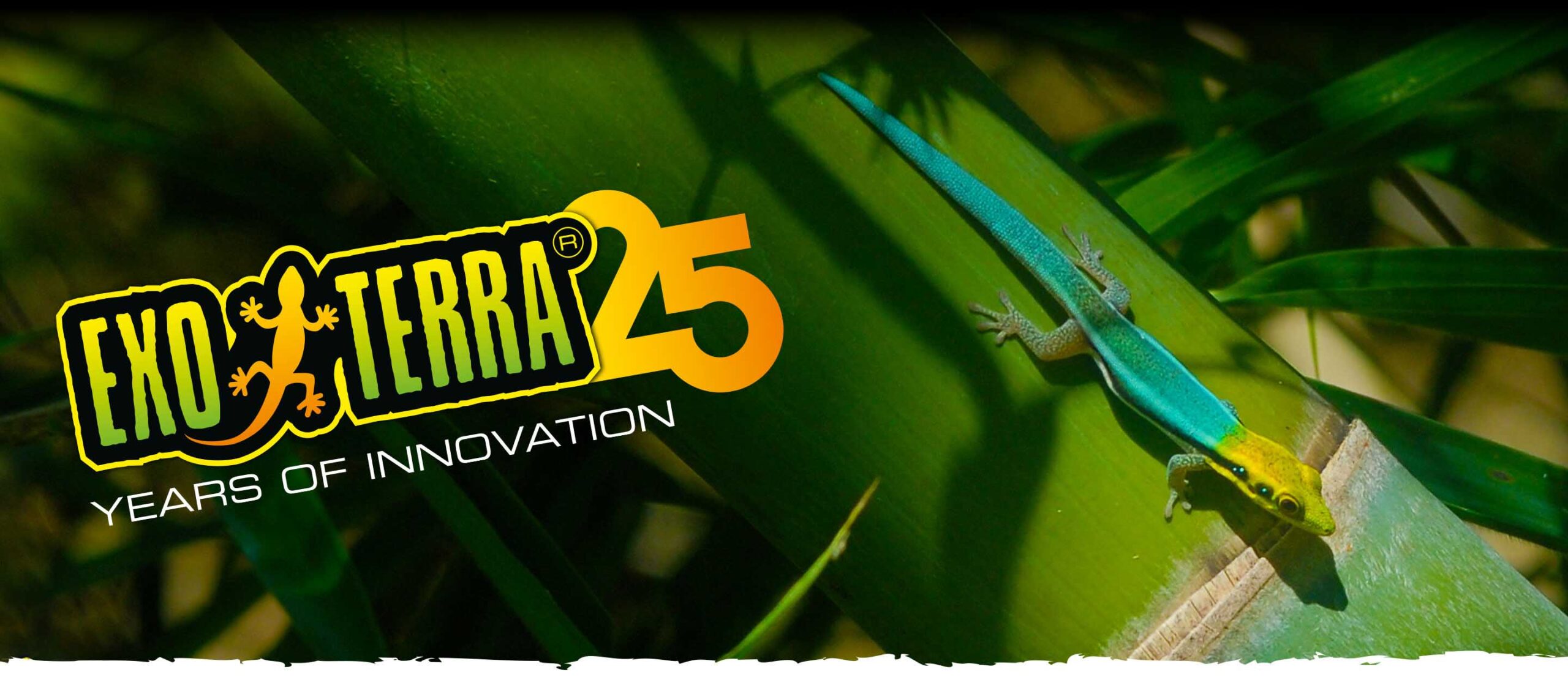 25 Years of Innovation - Exo Terra