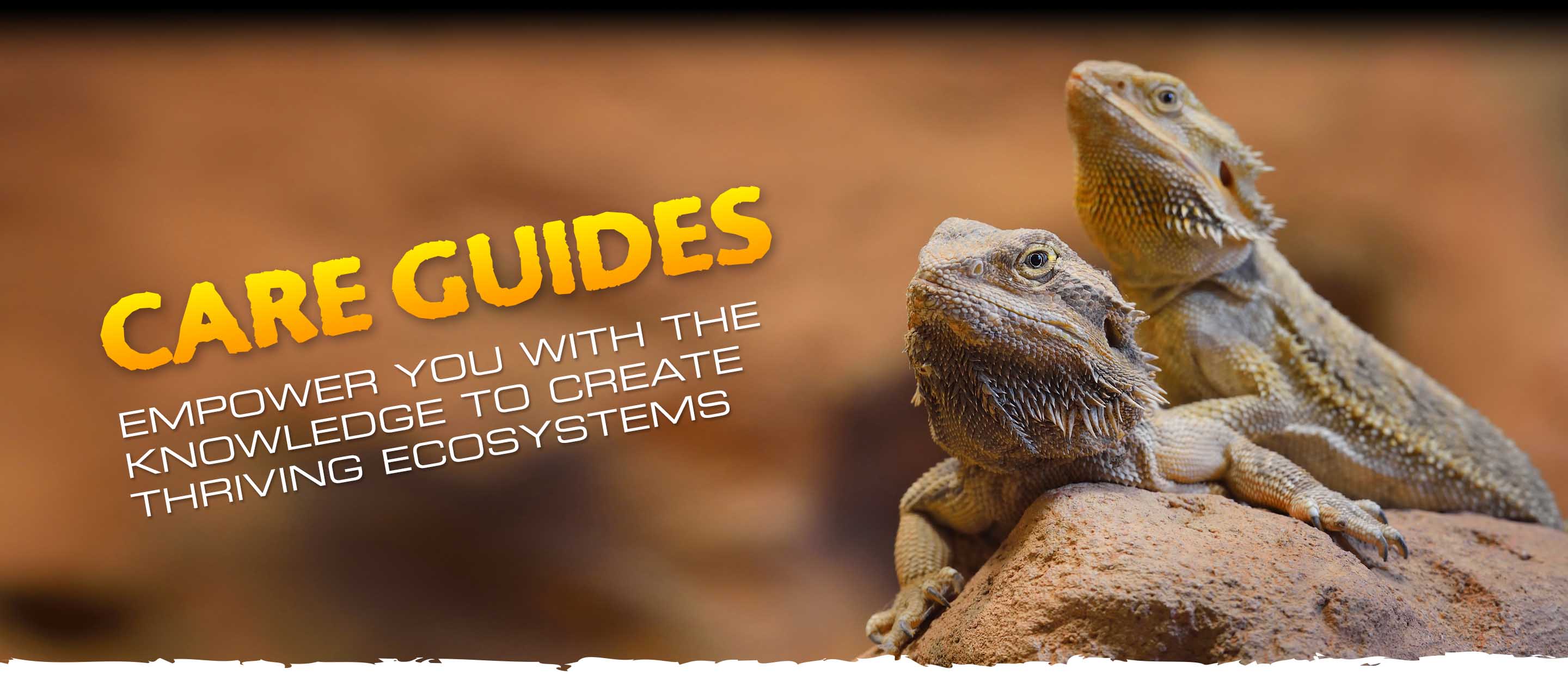 Care Guides