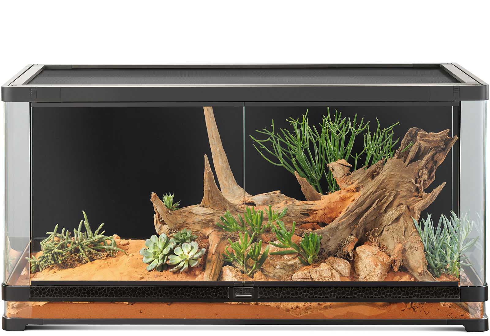 EXO terrarium チャニョル CHANYEOL Terrariums - Exo Terra