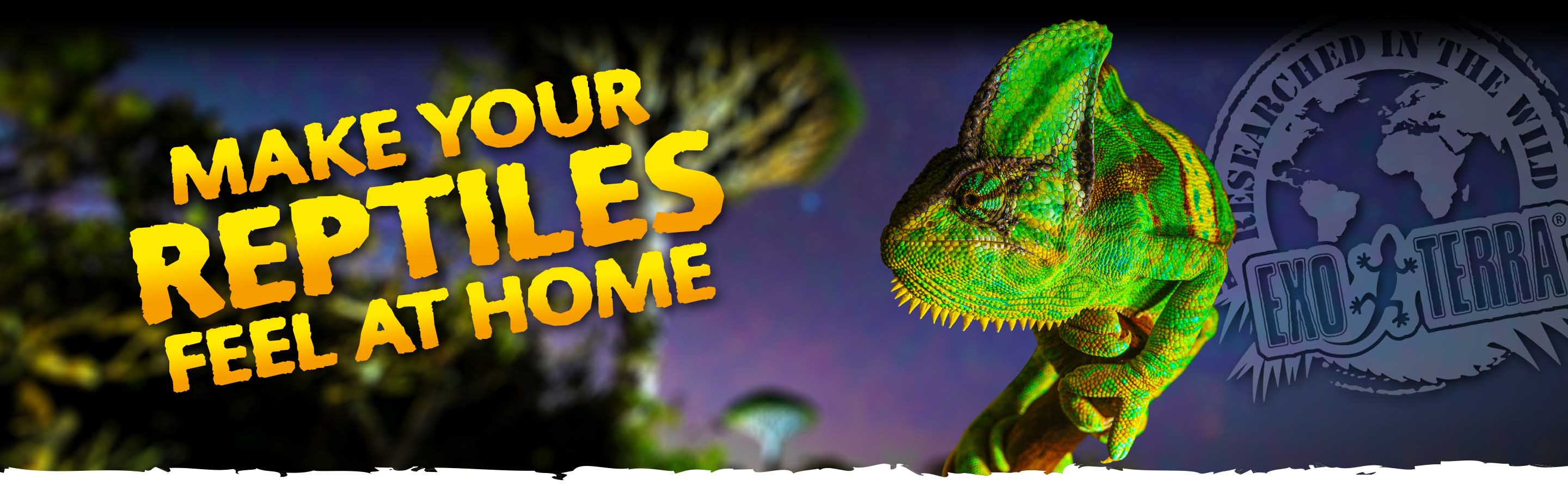 Home Optimisation