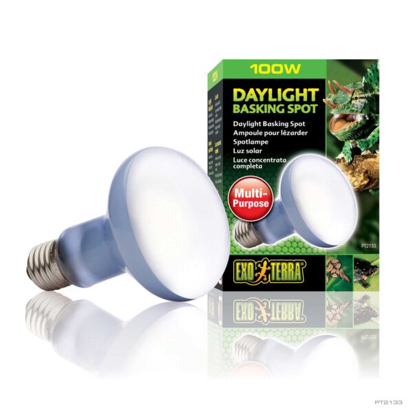 井戸川 Exo TERRA DAYLIGHT BASKIN 150W 6個 Daylight Basking Spot 150W