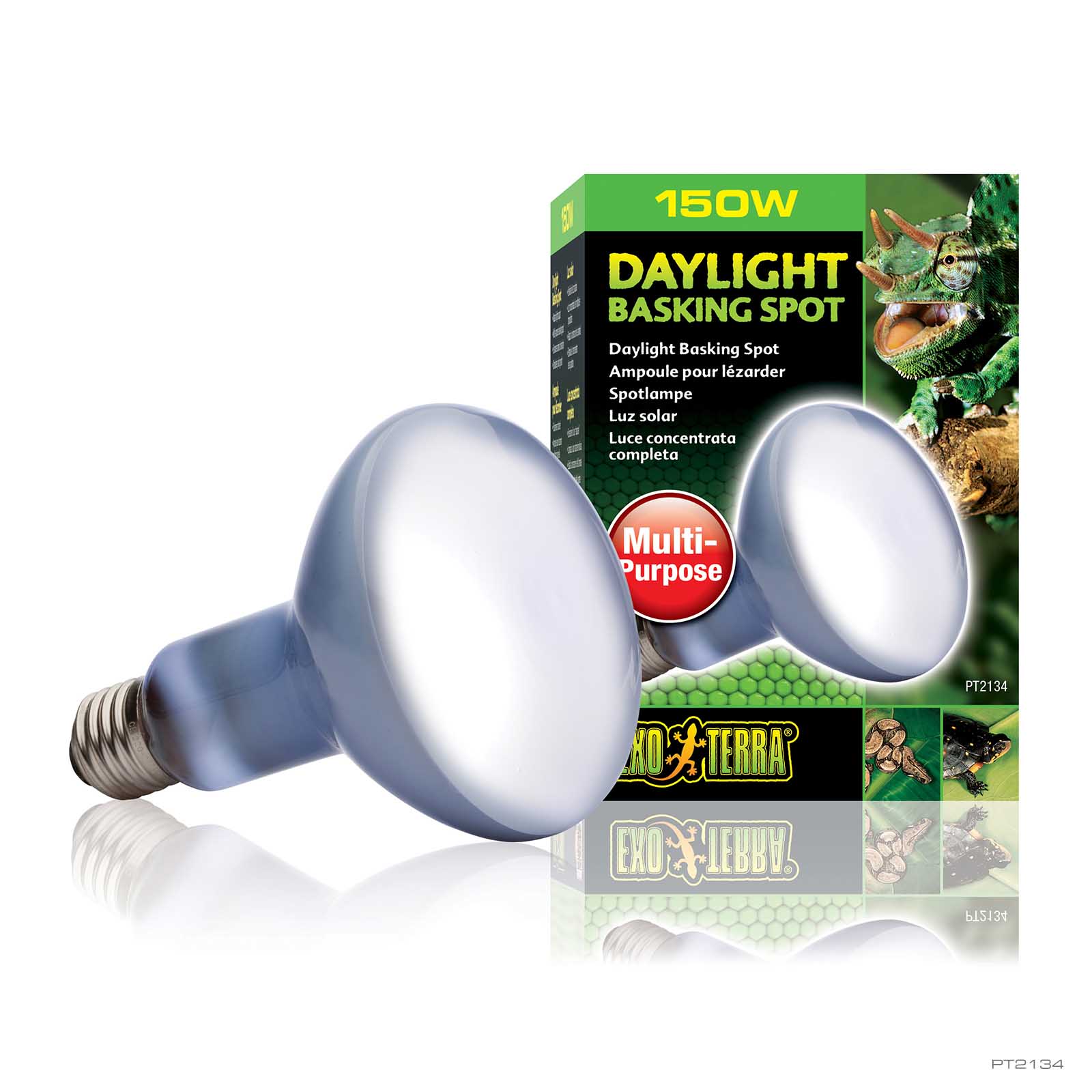 井戸川 Exo TERRA DAYLIGHT BASKIN 150W 6個 Daylight Basking Spot 150W