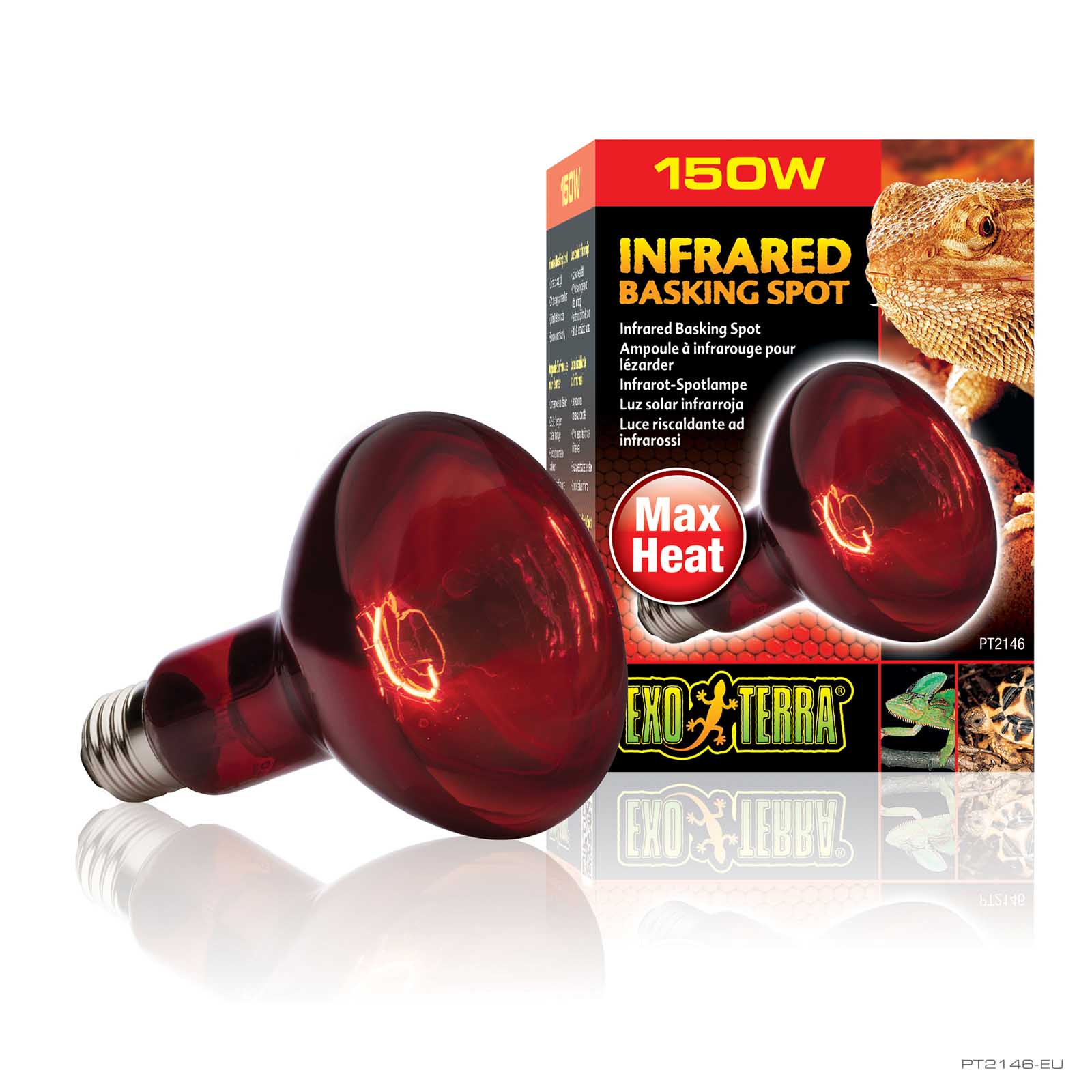 井戸川 Exo TERRA DAYLIGHT BASKIN 150W 6個 Infrared Basking Spot 150W