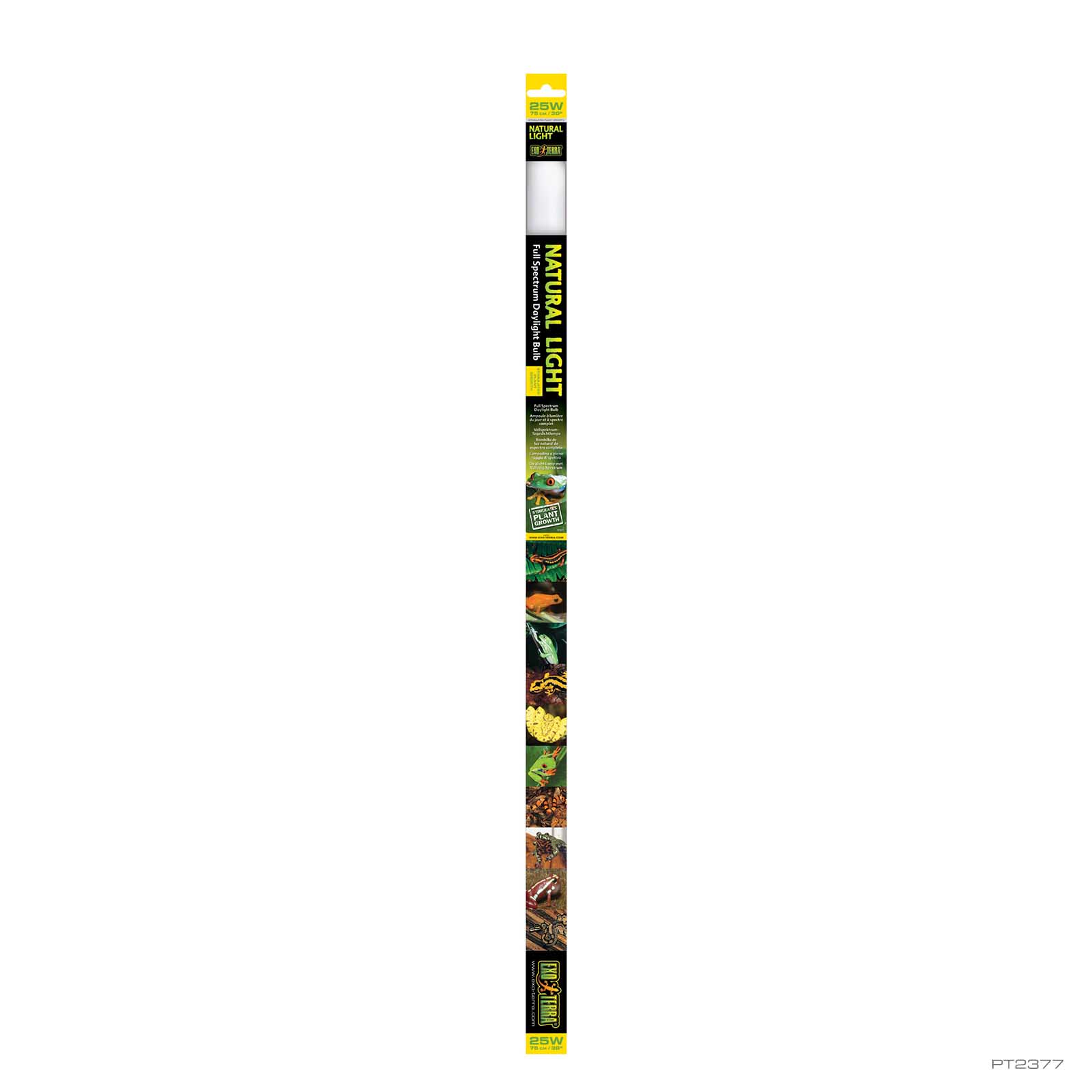 PT2377_01.jpg?lossy=0&strip=0&