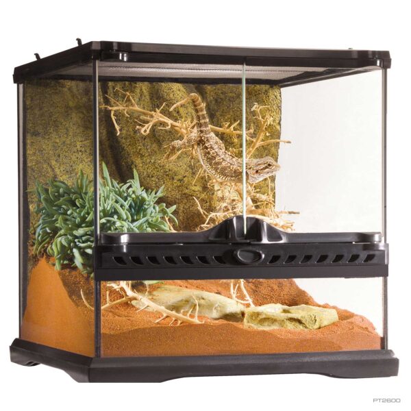 Natural Terrarium Mini X-Tall