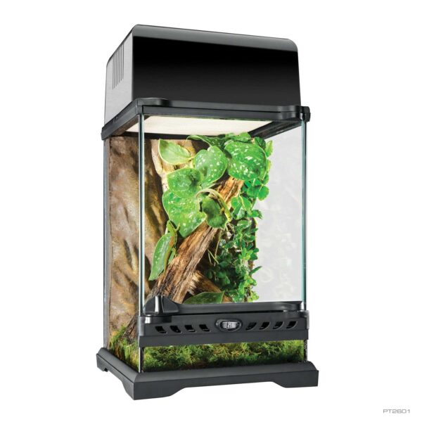 Natural Terrariums - Exo Terra