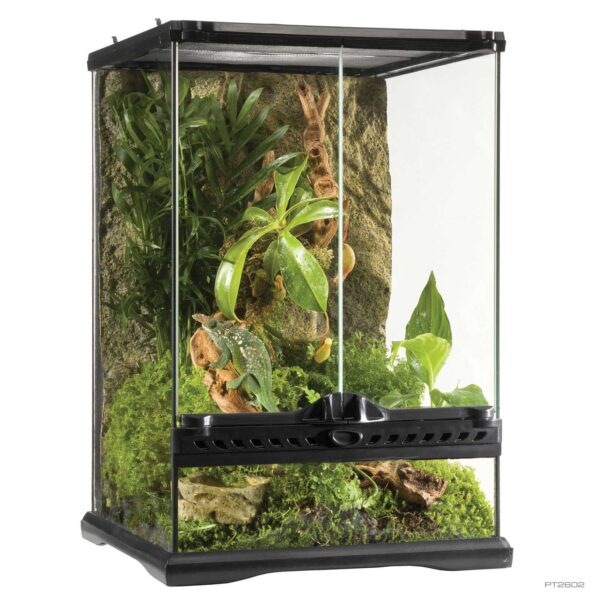 Natural Terrariums - Exo Terra