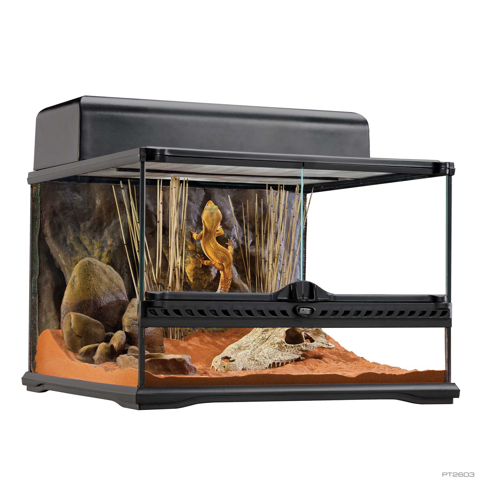 温室・飼育ケース EXO TERRA Terrarium 4530 SMALL LOW PT2603_01.jpg?lossy=0&strip=0&