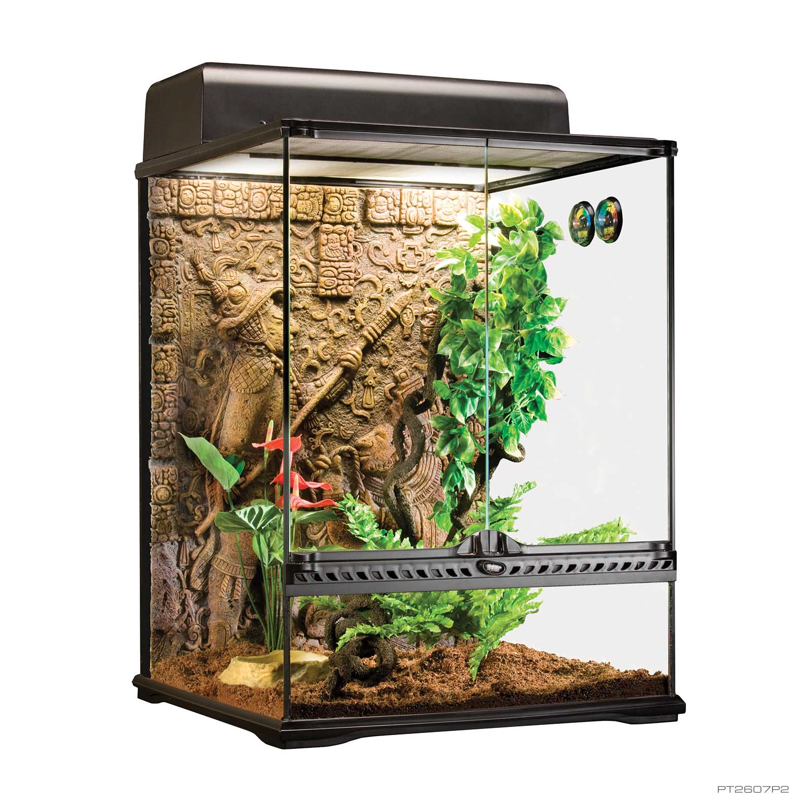 Natural Terrarium Small Tall Natural Terrarium Small Tall