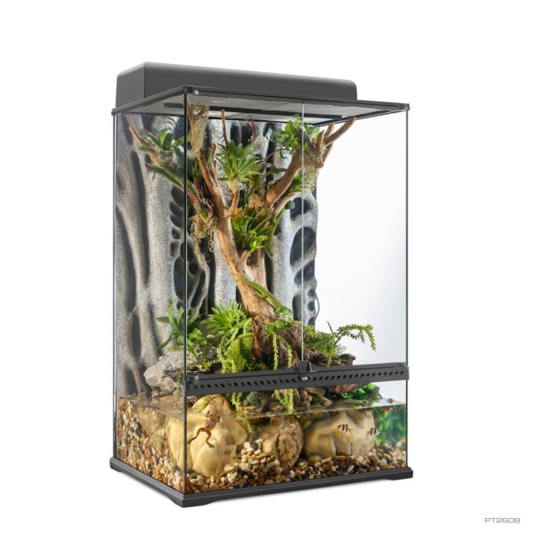 Natural Terrarium Small Tall