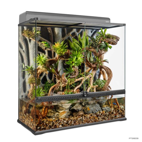 Natural Terrarium Mini Tall