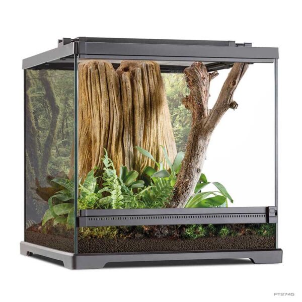 Natural Terrariums - Exo Terra