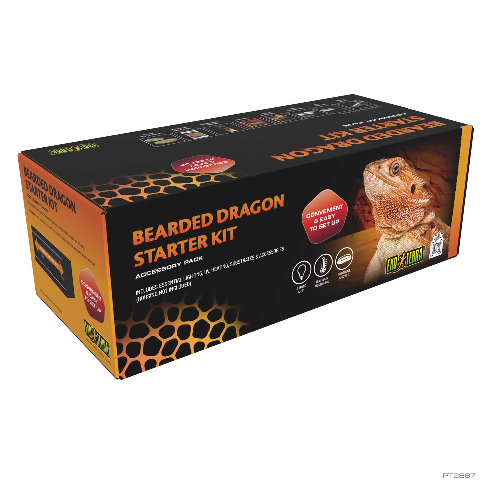 Bearded Dragon Starter Kit