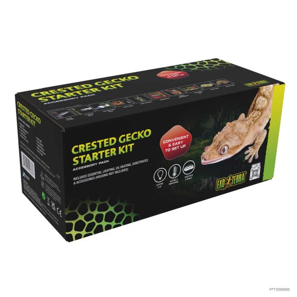 Leopard Gecko Starter Kit
