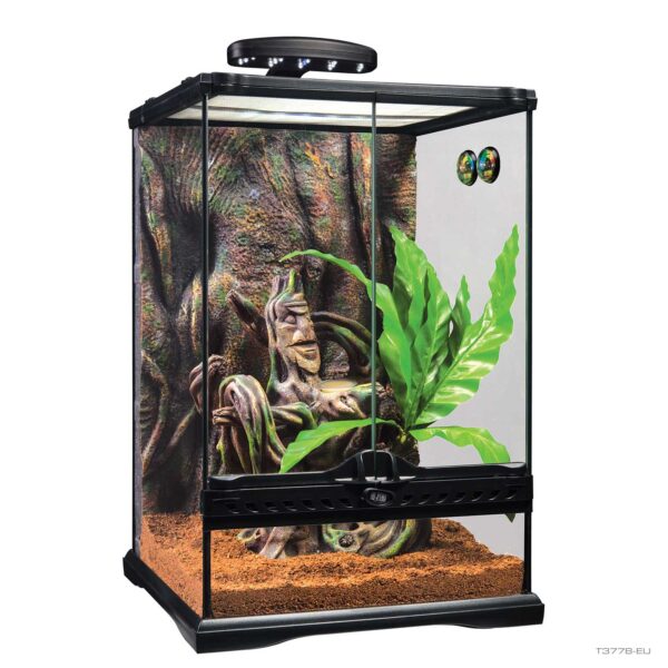 Terrarium Kits - Exo Terra