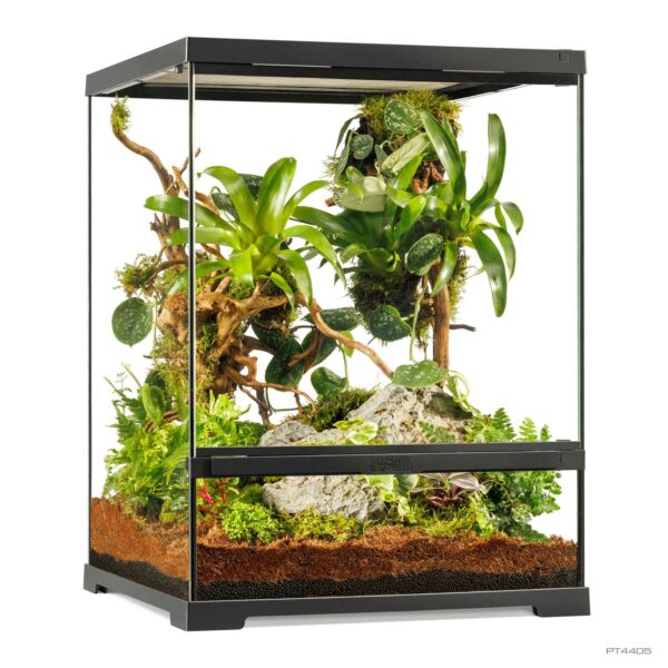 Pro Terrarium Small Low