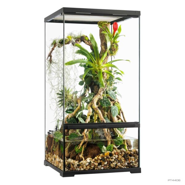 Pro Terrarium Small Low