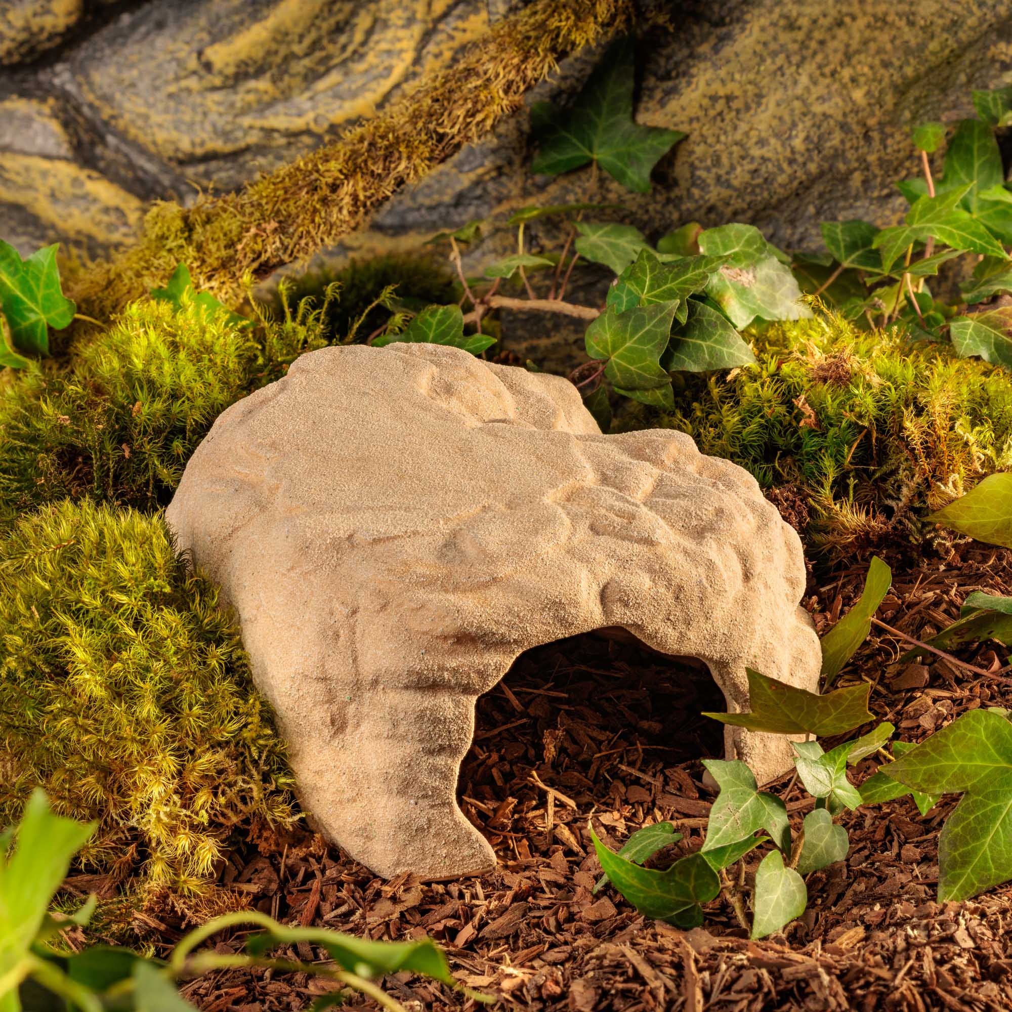 Terrarium Den Large