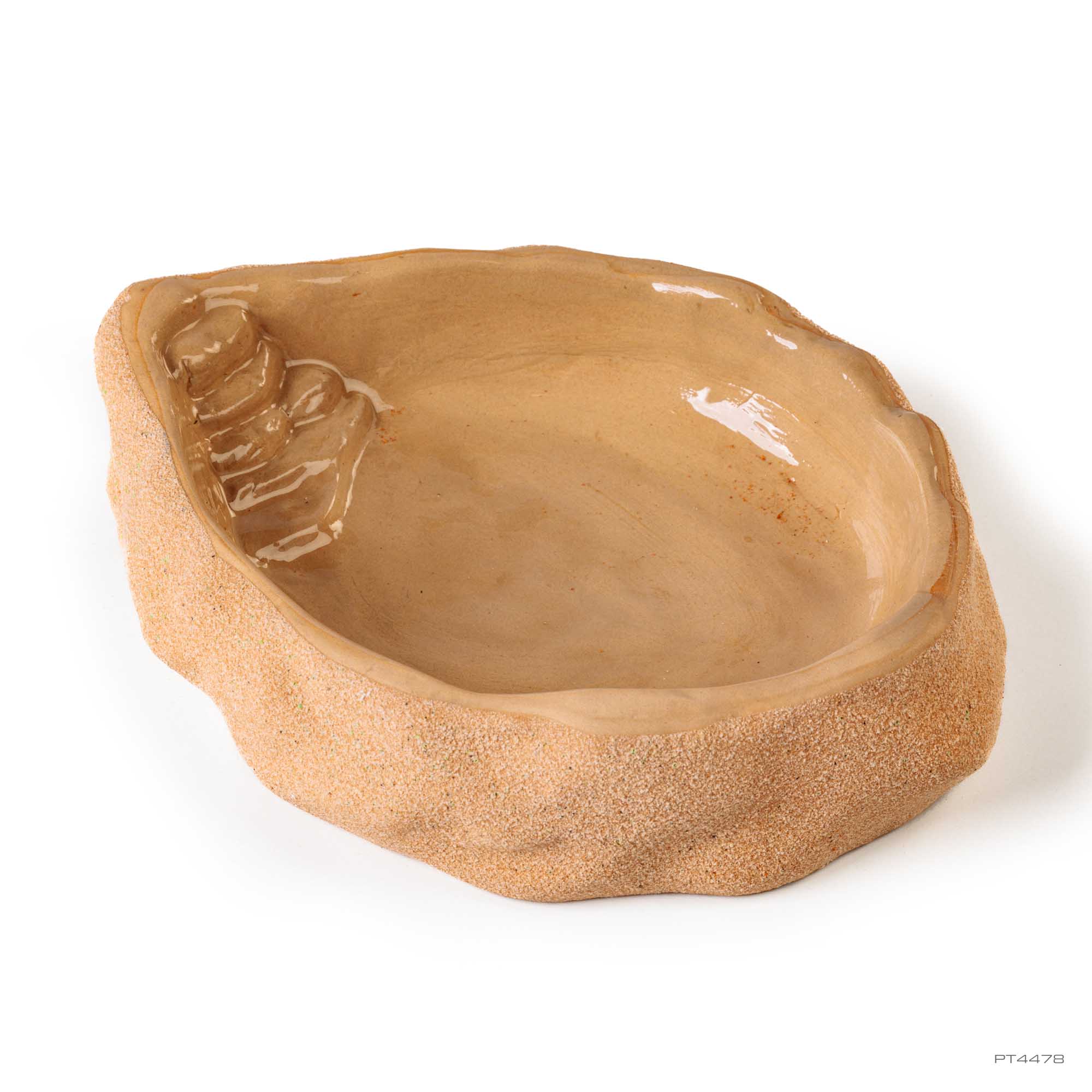 Terrarium Dish Large
