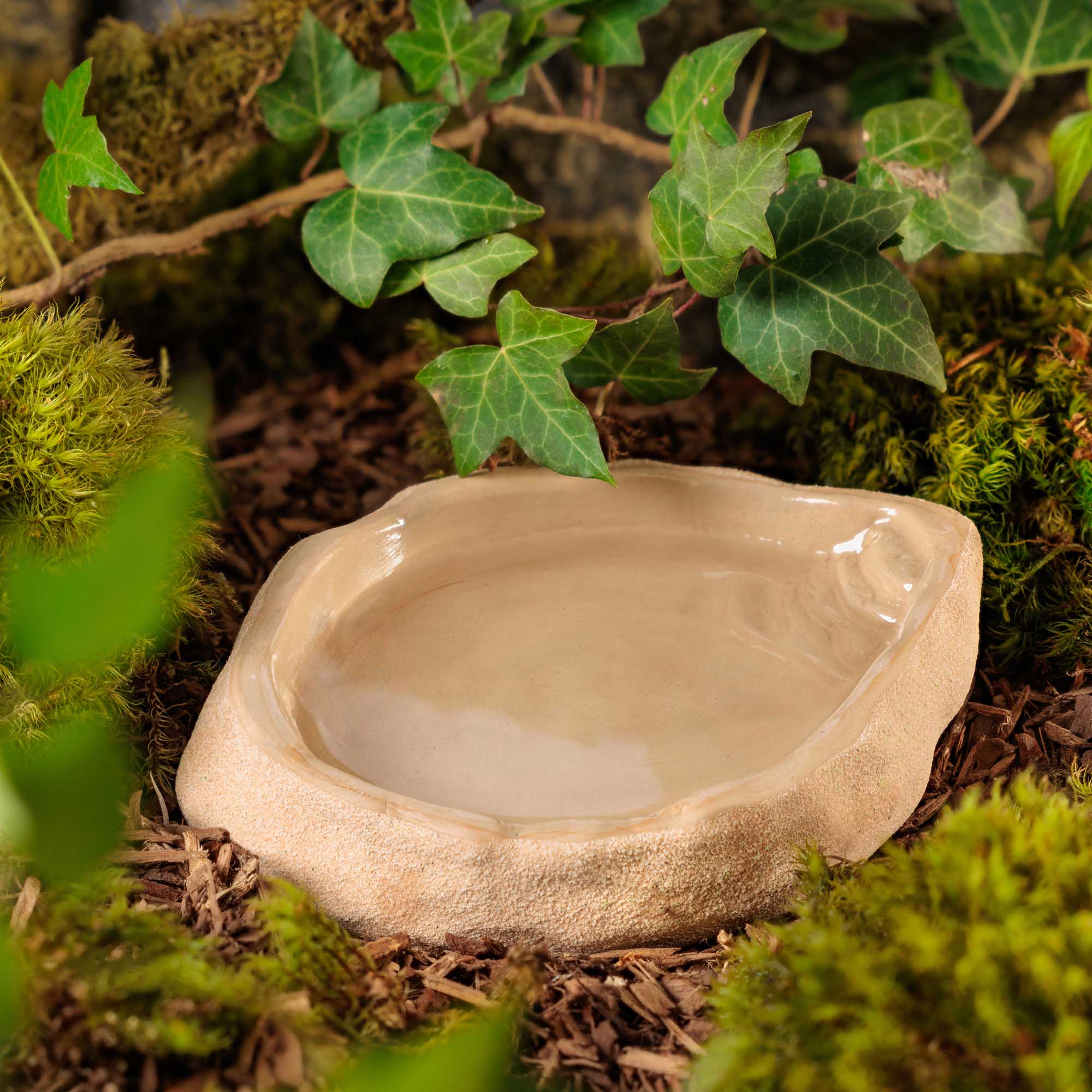 Terrarium Dish Large