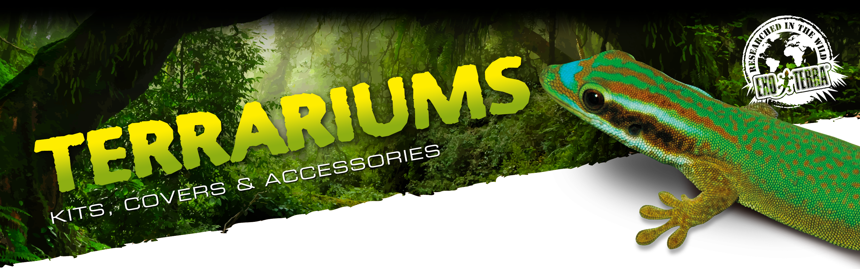 Terrariums