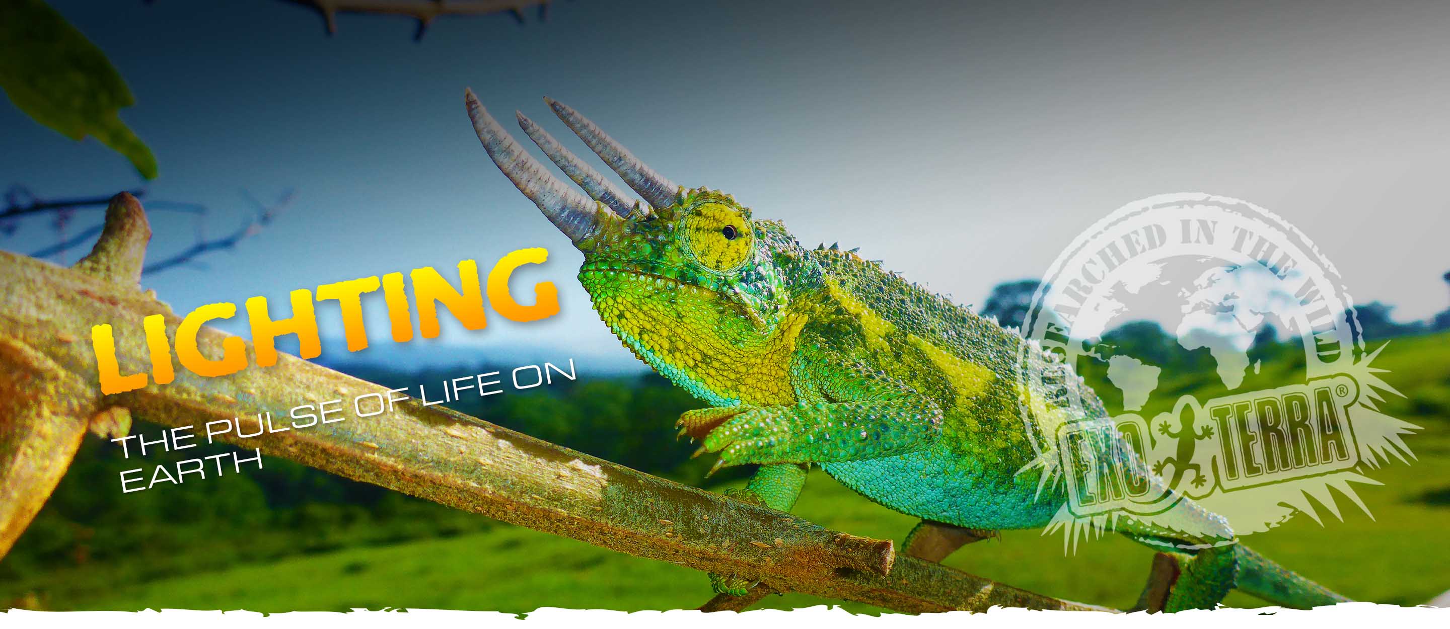 Improving animal welfare in zoos