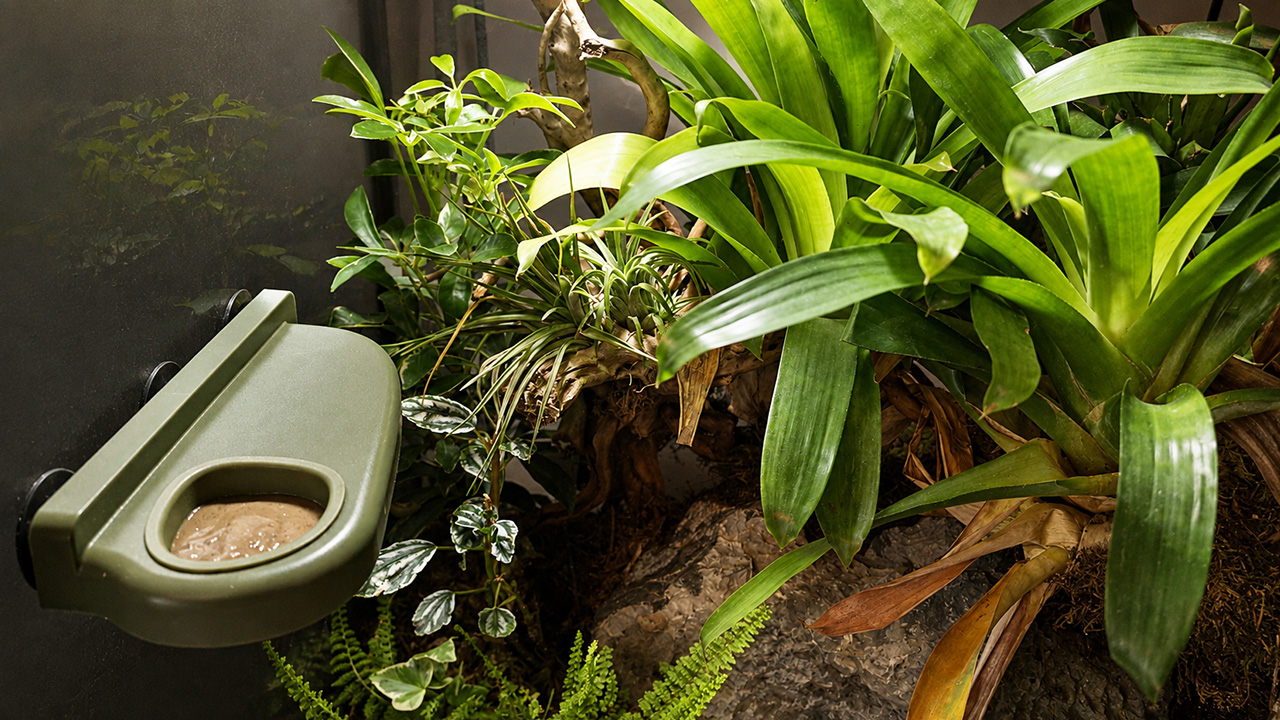 Habitat enrichment