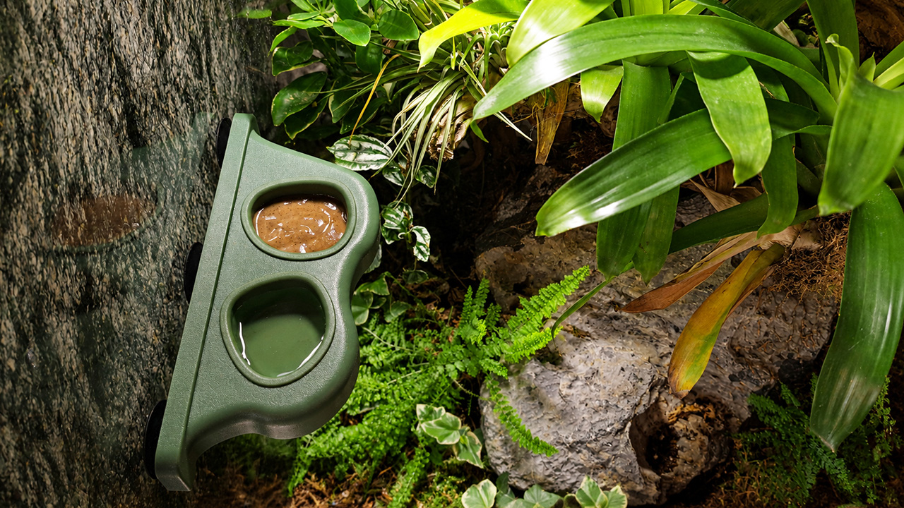 Habitat enrichment