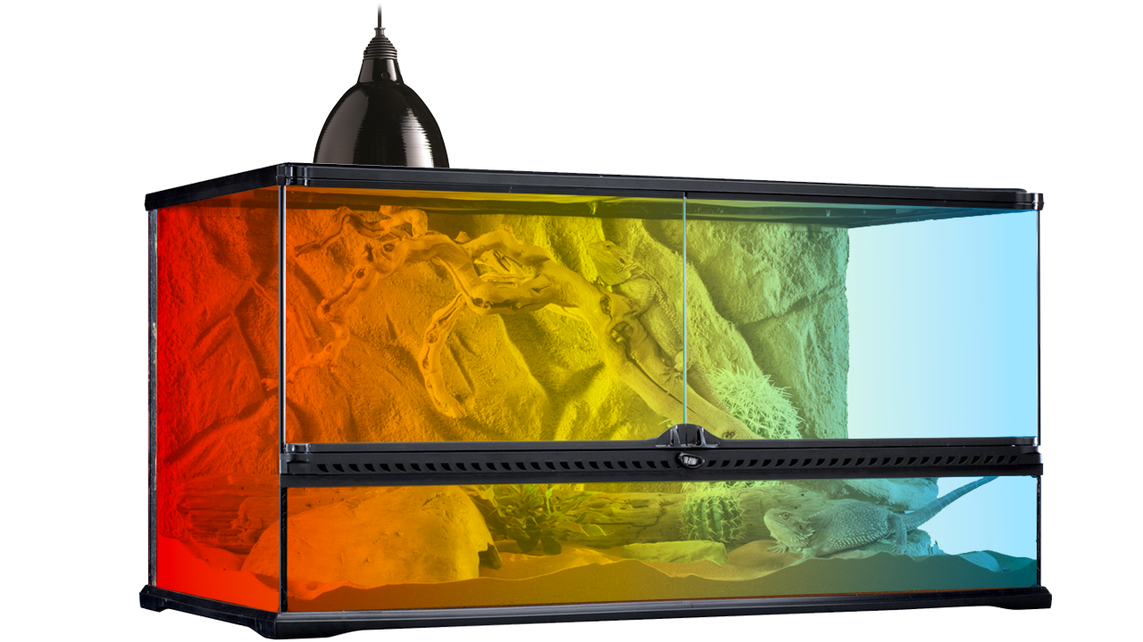 Daylight Basking Spot 150W