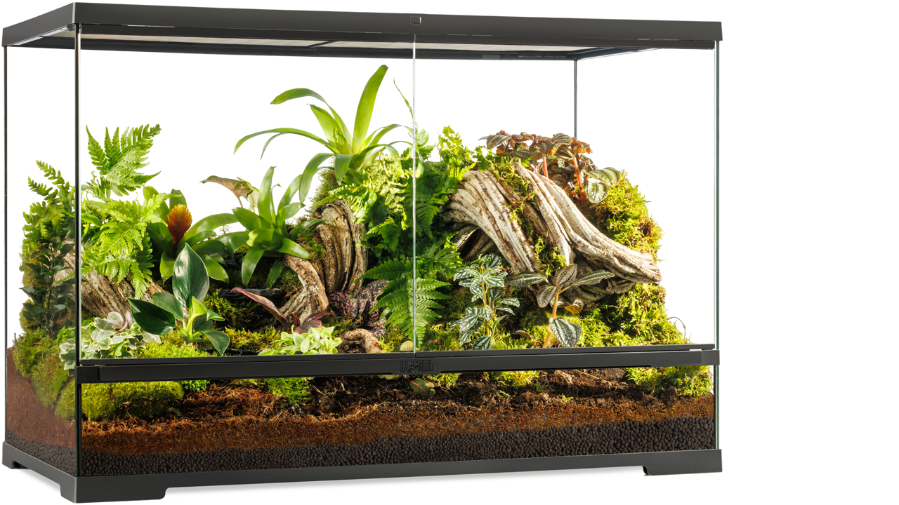 温室・飼育ケース EXO TERRA Terrarium 4530 SMALL LOW Pro Terrarium Small Low