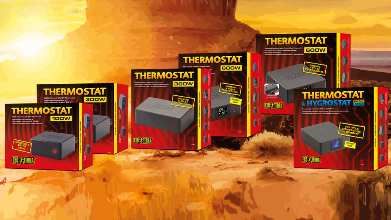 Thermostat 300W Dimming & Pulse