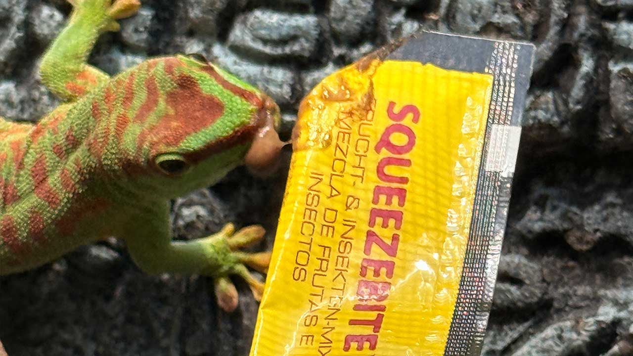 True to nature