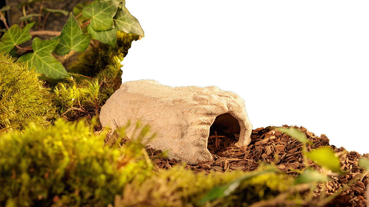 Habitat enrichment