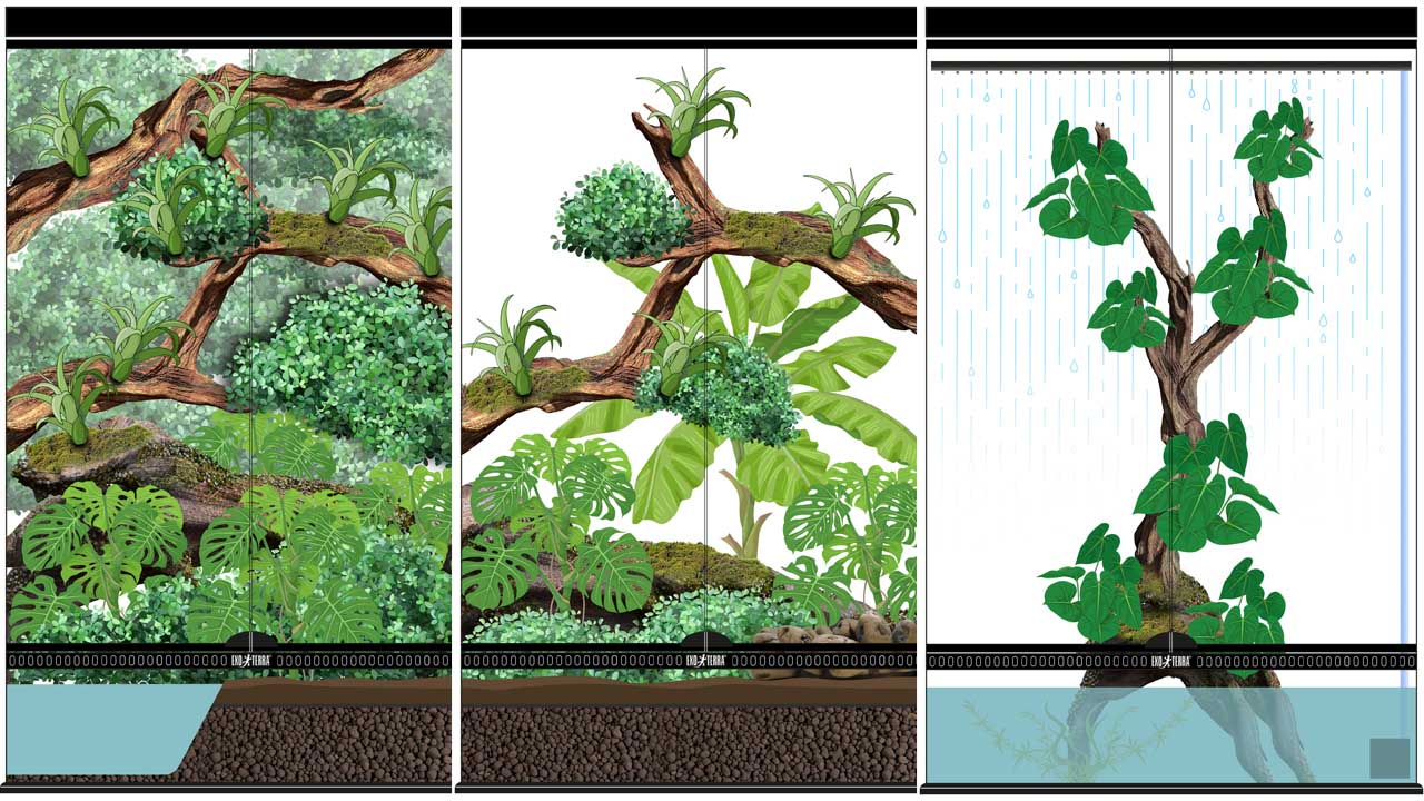 Natural Terrarium Mini Tall