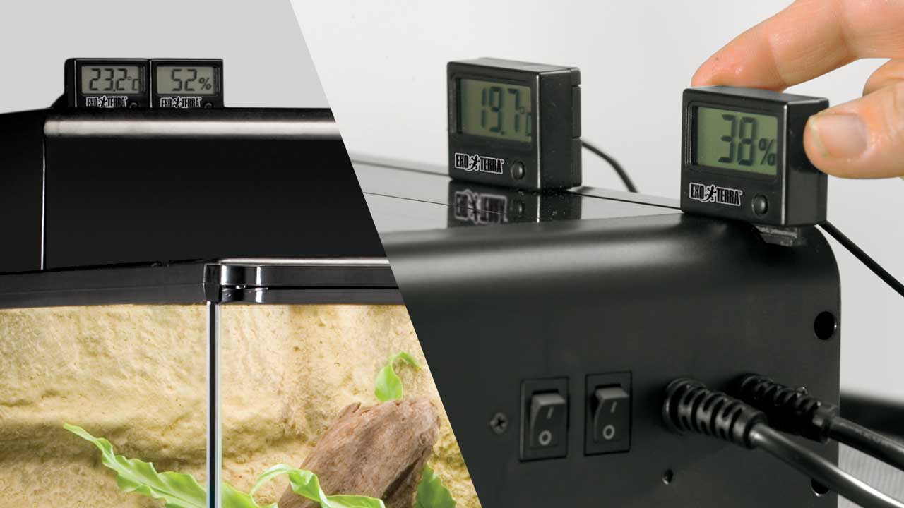 Digital Thermometer