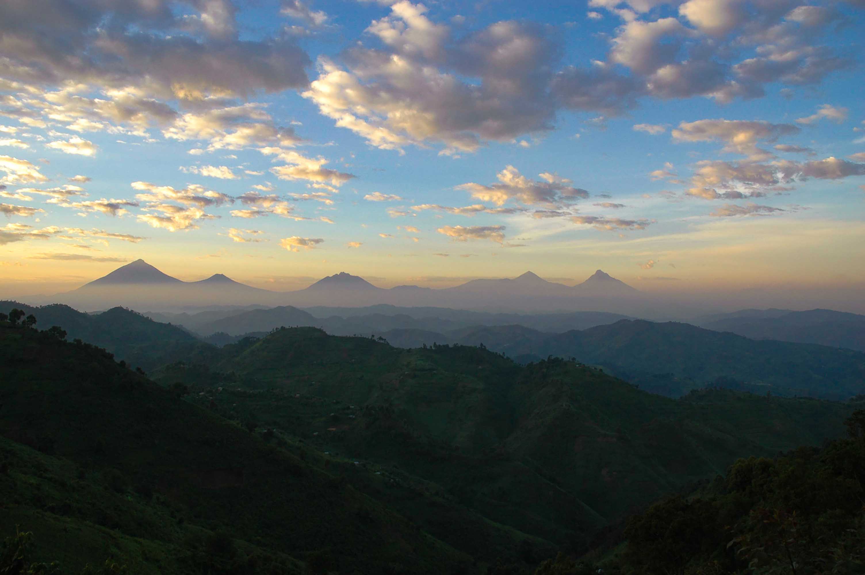 Bwindi Impenetrable Forest