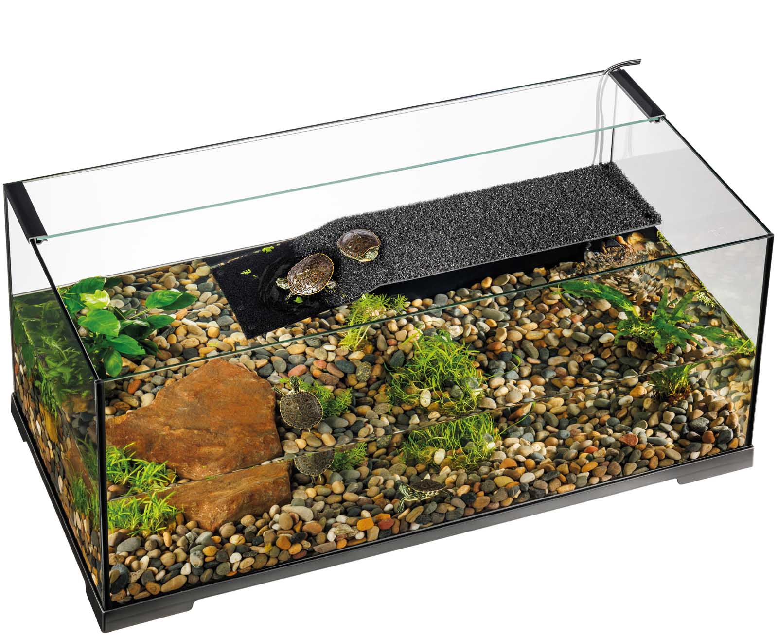 Terrariums - Exo Terra