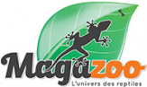 Online Retailers
