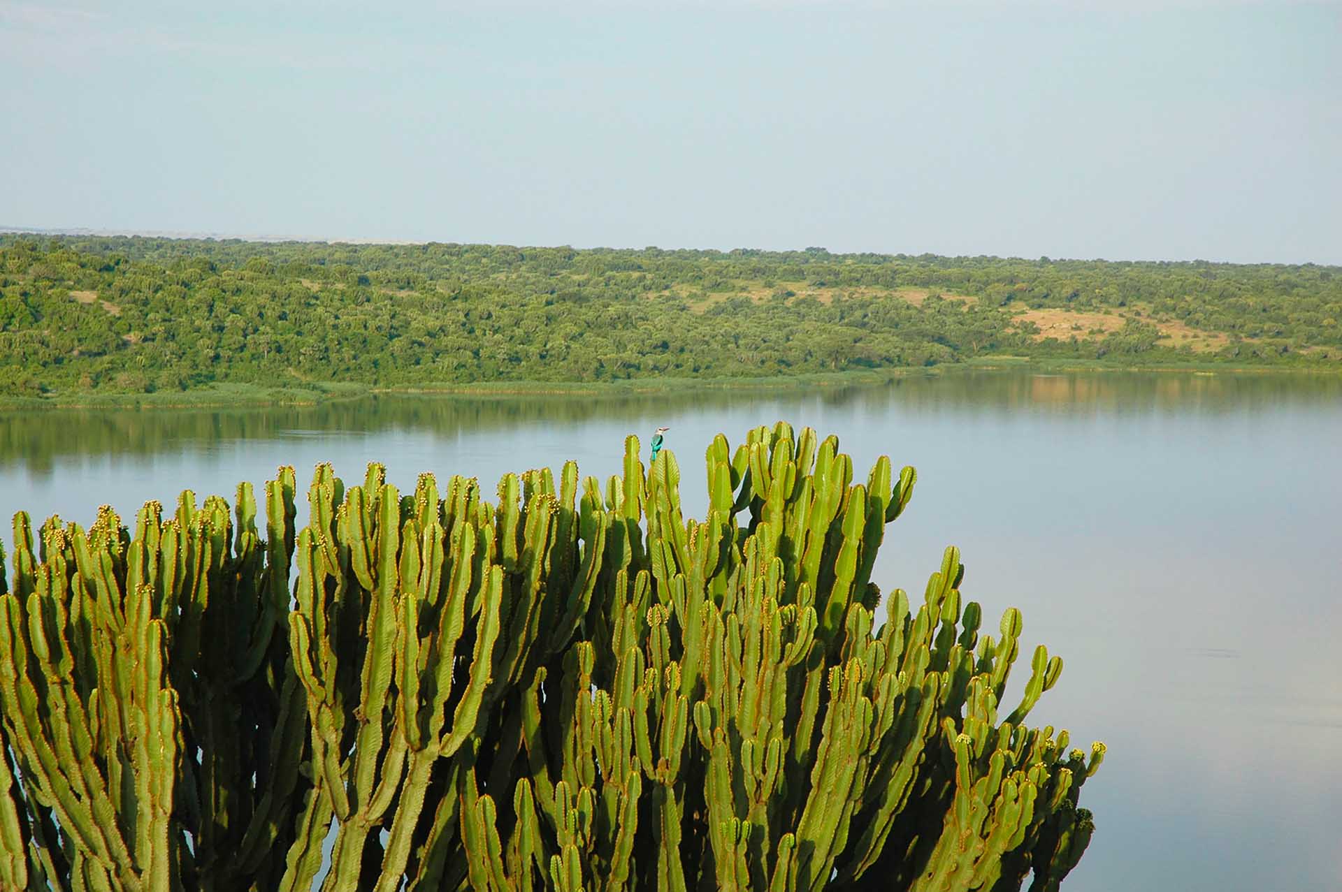 Journey through Queen Elisabeth NP