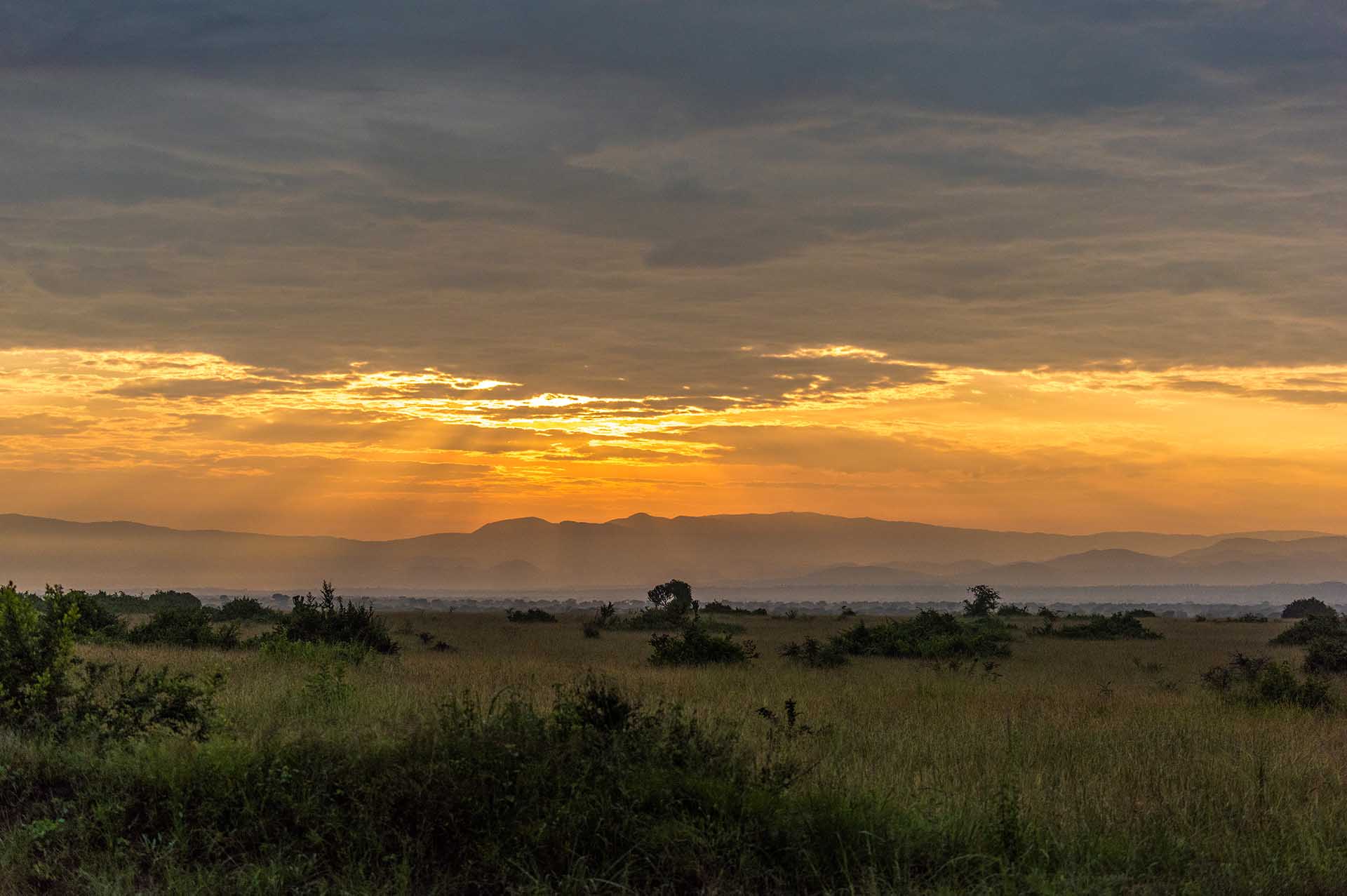 Journey through Queen Elisabeth NP