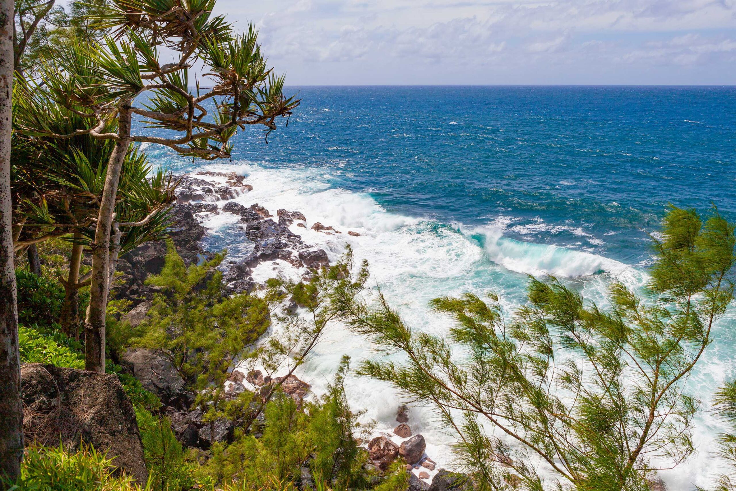R&eacute;union's Southern Coast, The habitat of Phelsuma inexpectata