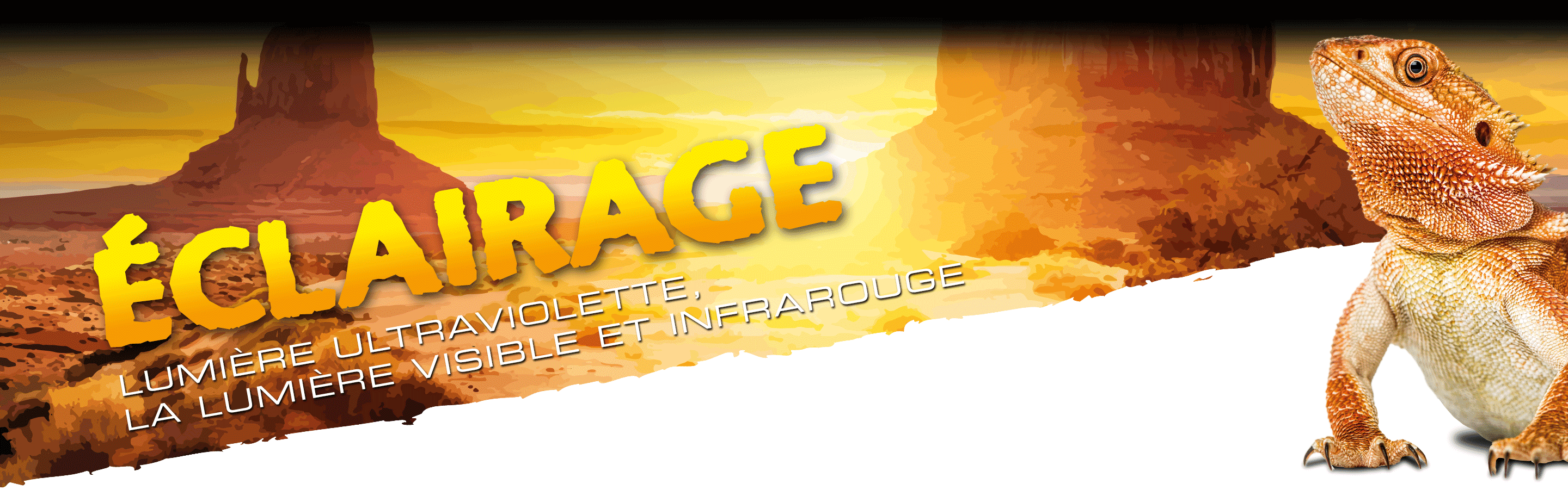 &Eacute;clairage