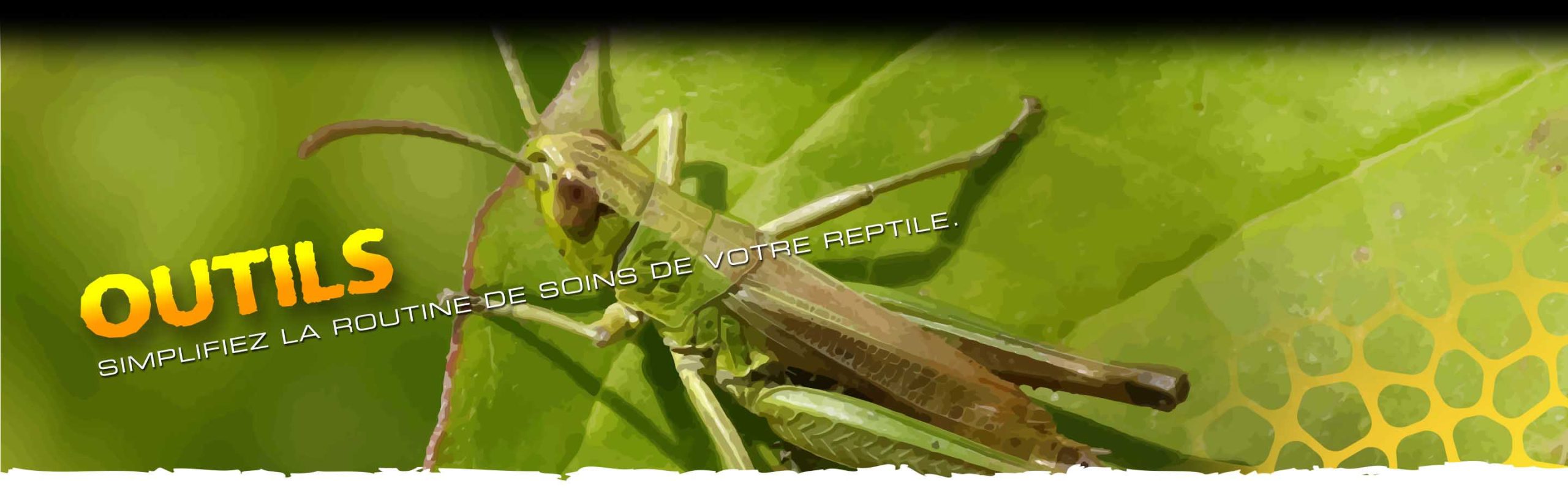 Feeding Tools Header