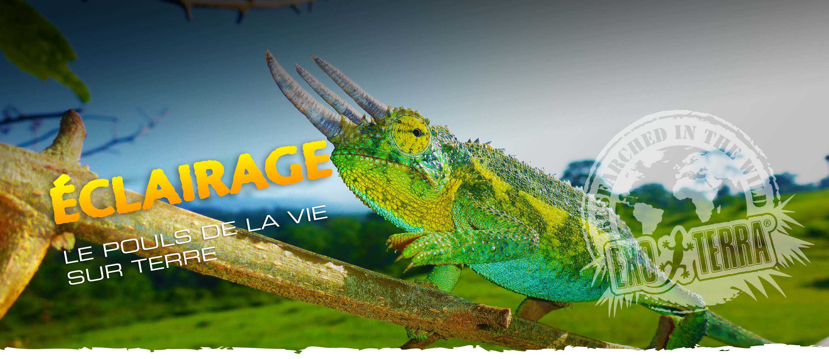 Qu'est-ce Que La Lumi&egrave;re ?