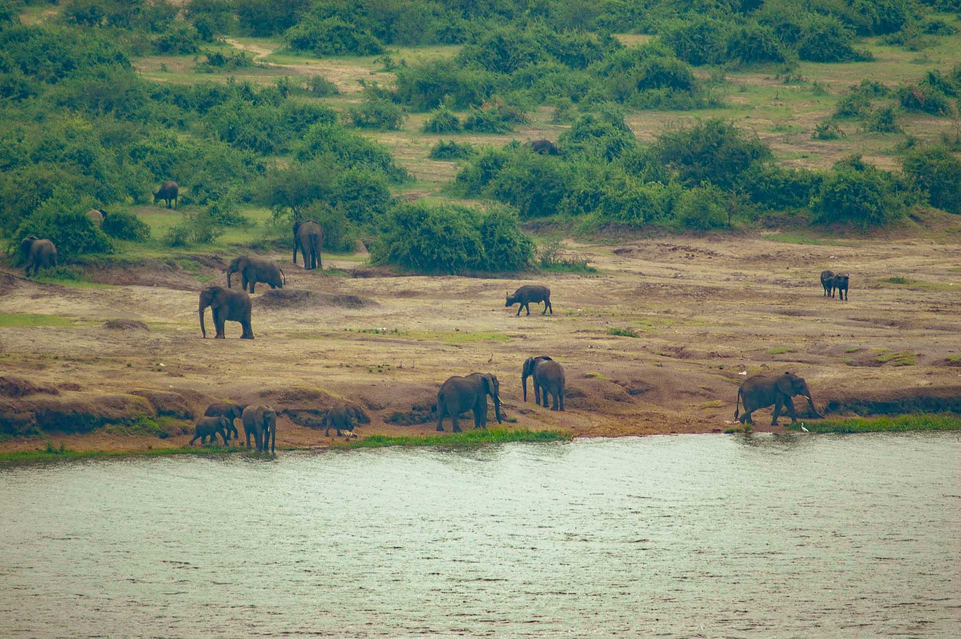 Voyage &Agrave; Travers La Reine Elisabeth NP
