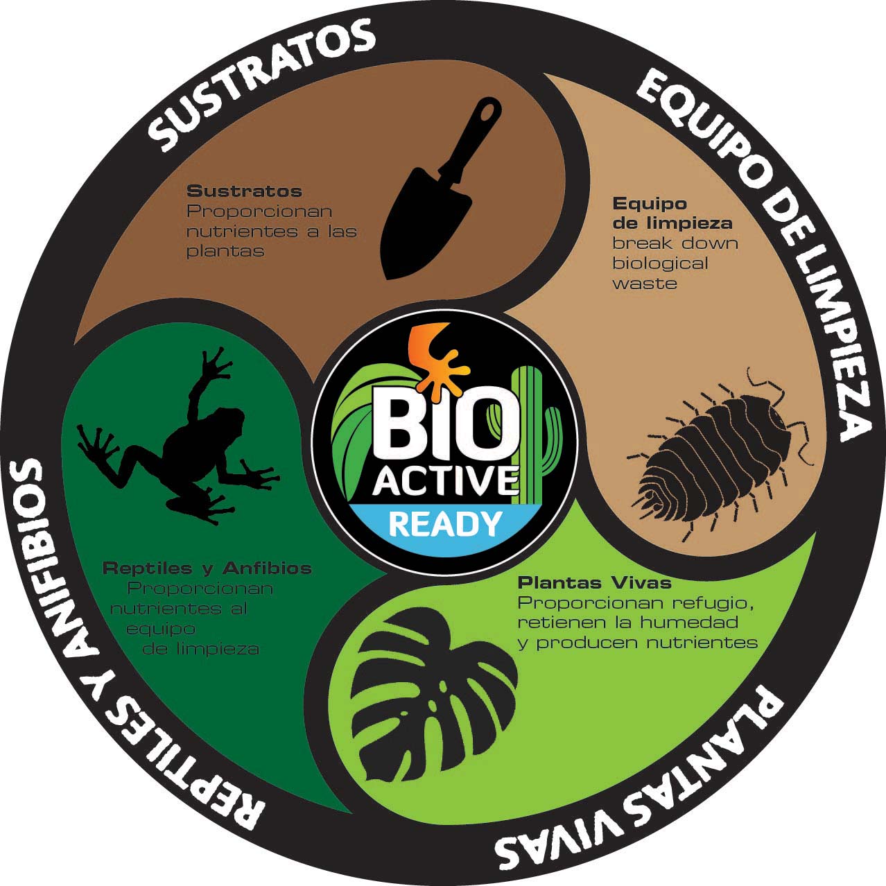 Bioactivo