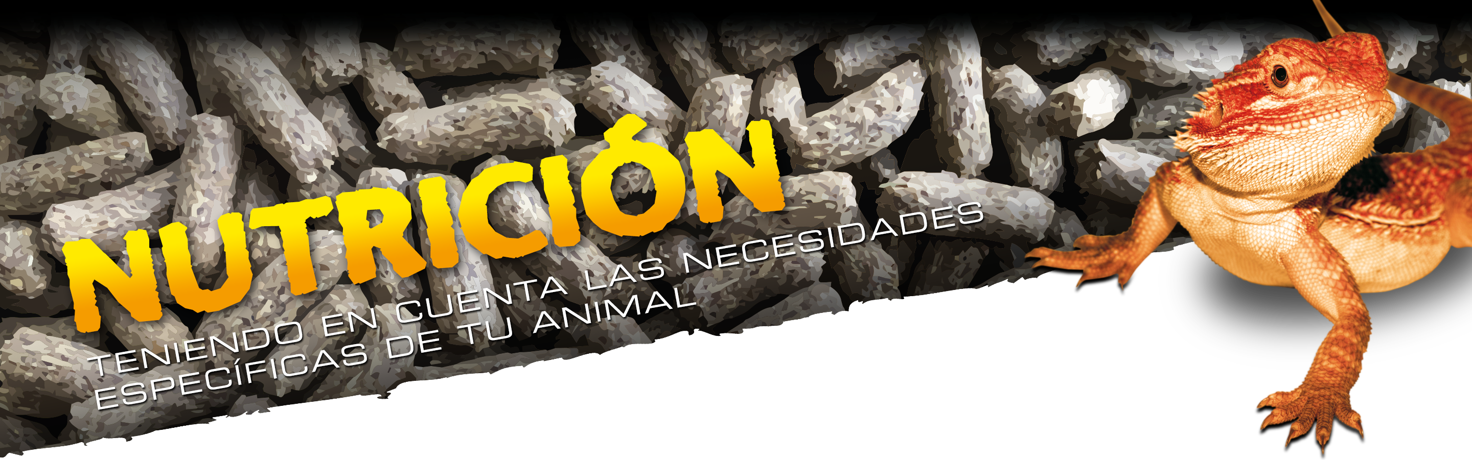 Nutrici&oacute;n