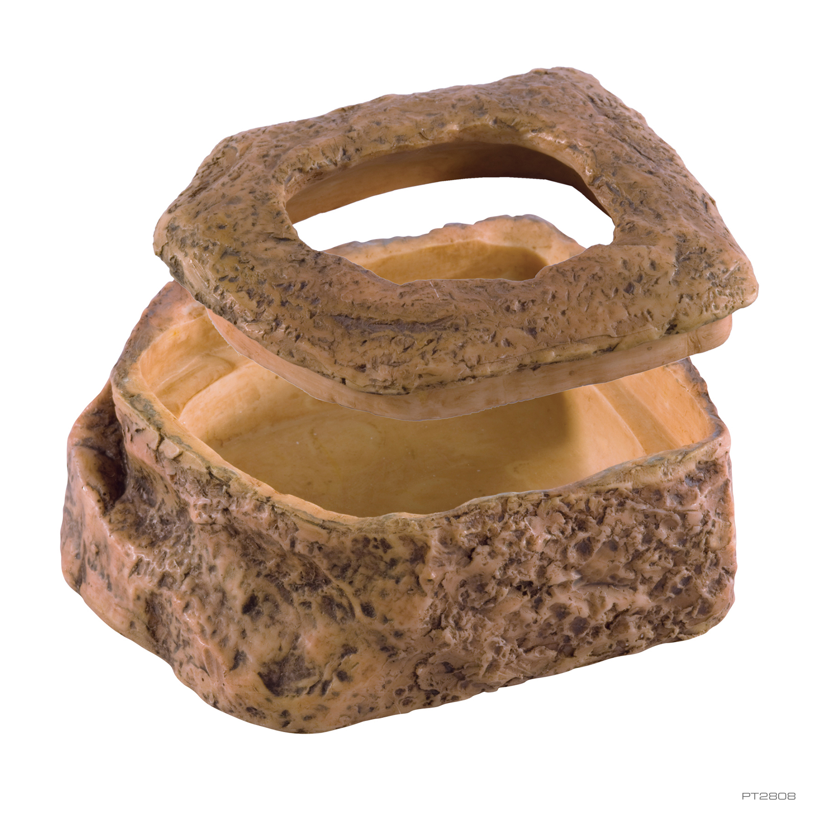 Buffalo Worm Dish