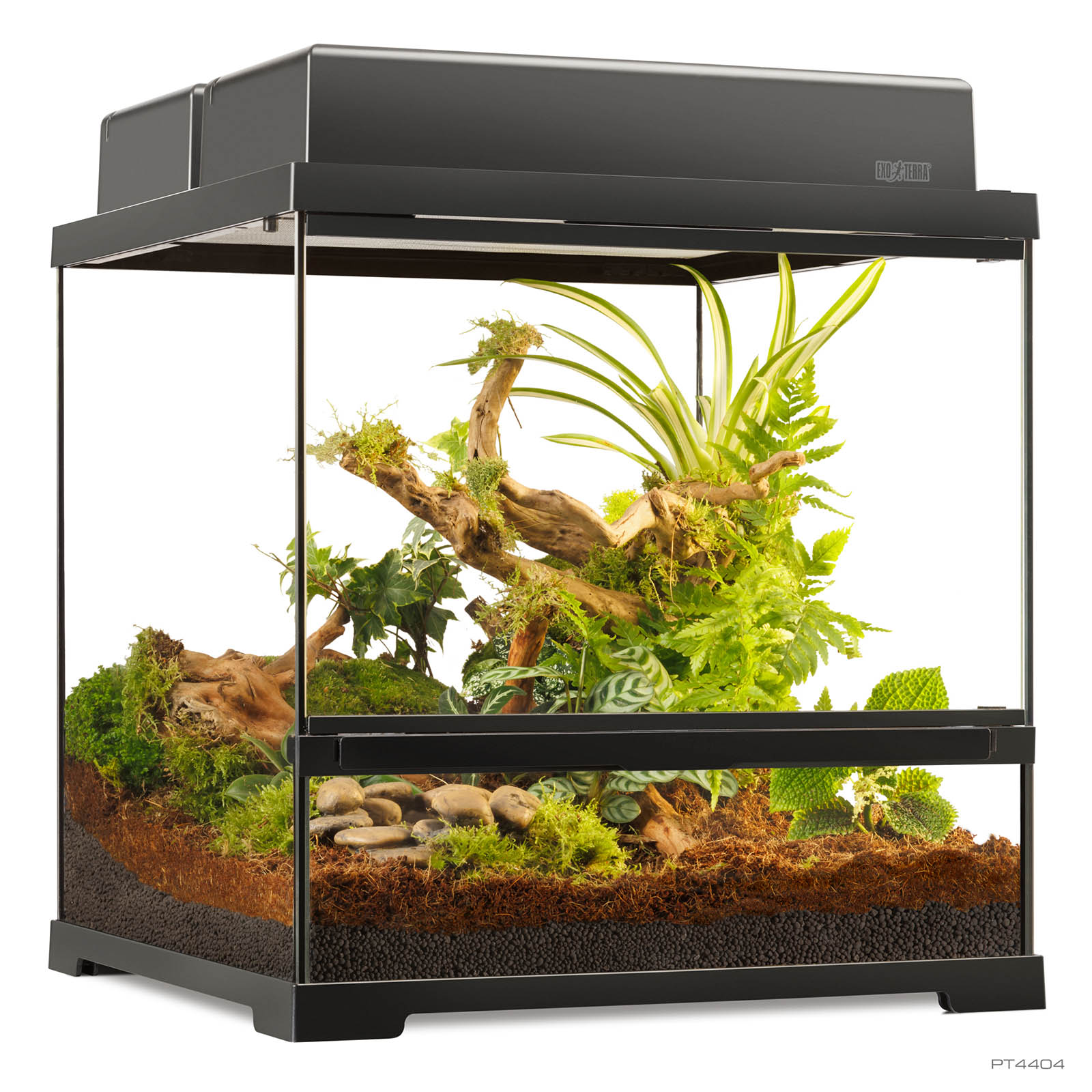 Pro Terrarium Small Wide