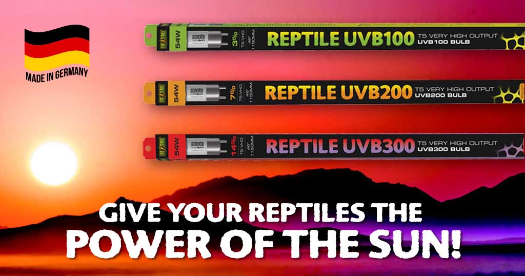 Nueva iluminación UVB VHO T5